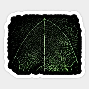 Leaf Veins- Nature Art Pattern Sticker